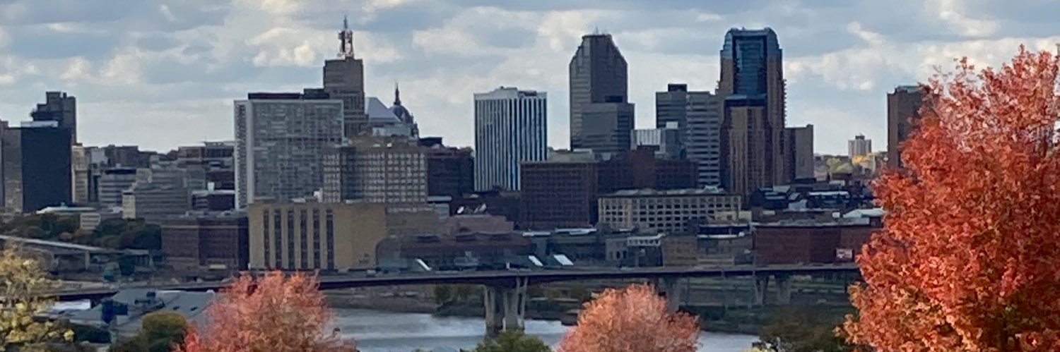 P Ray #VOTEBLUE No Planet B banner