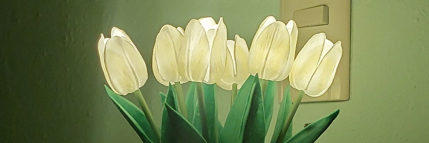 Alejandra Flores banner