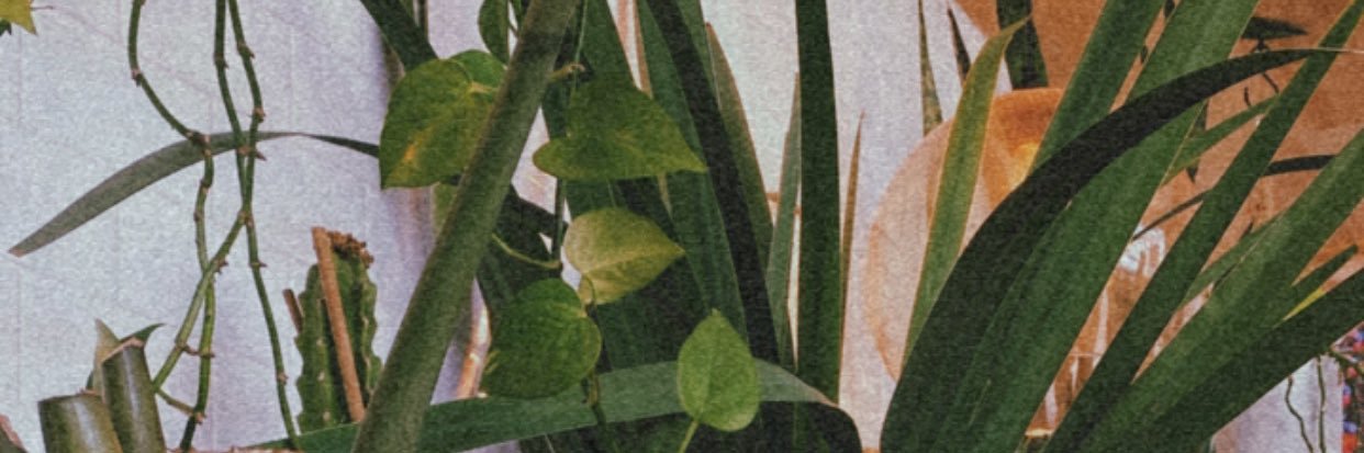 colocha89's profile banner image