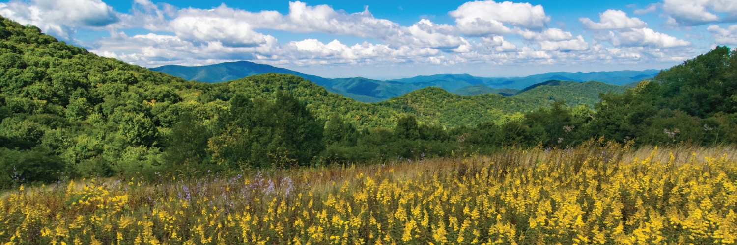 NC Sustainable Energy Association banner