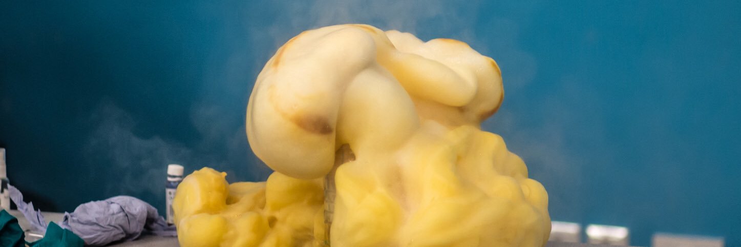 ShefSciFest's profile banner image