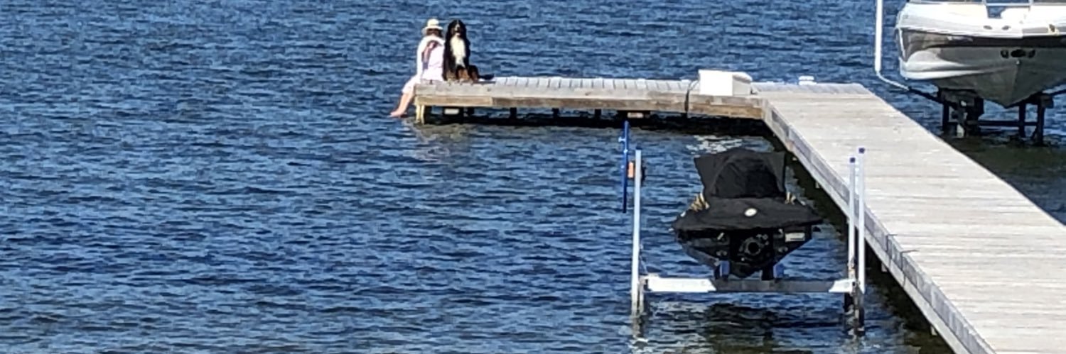 Steve Pollard banner