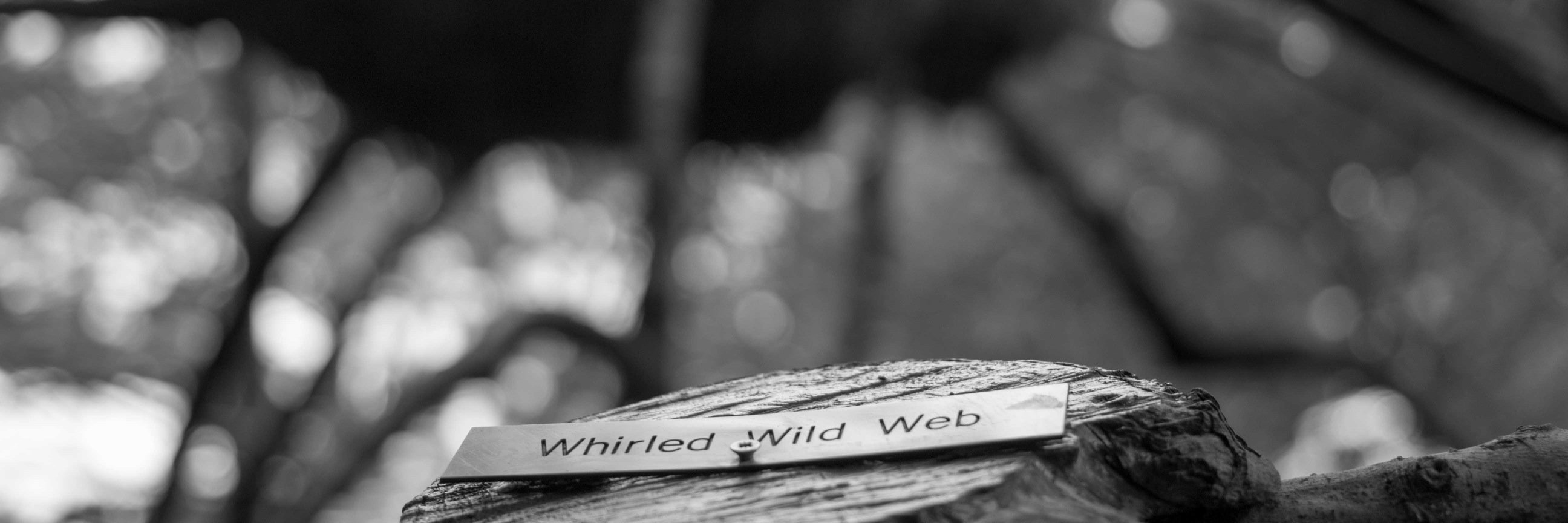georgetedd's profile banner image