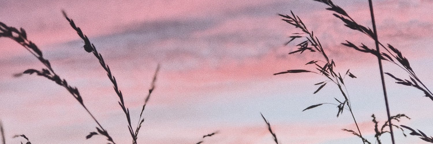 zzeebz's profile banner image
