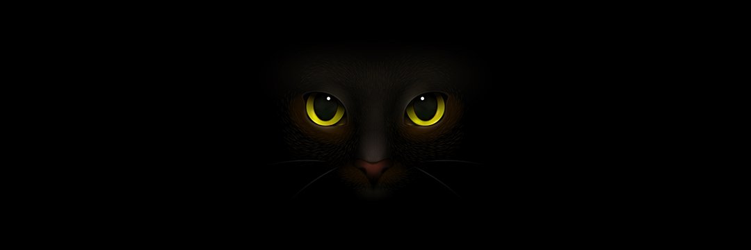 bisusbibe's profile banner image
