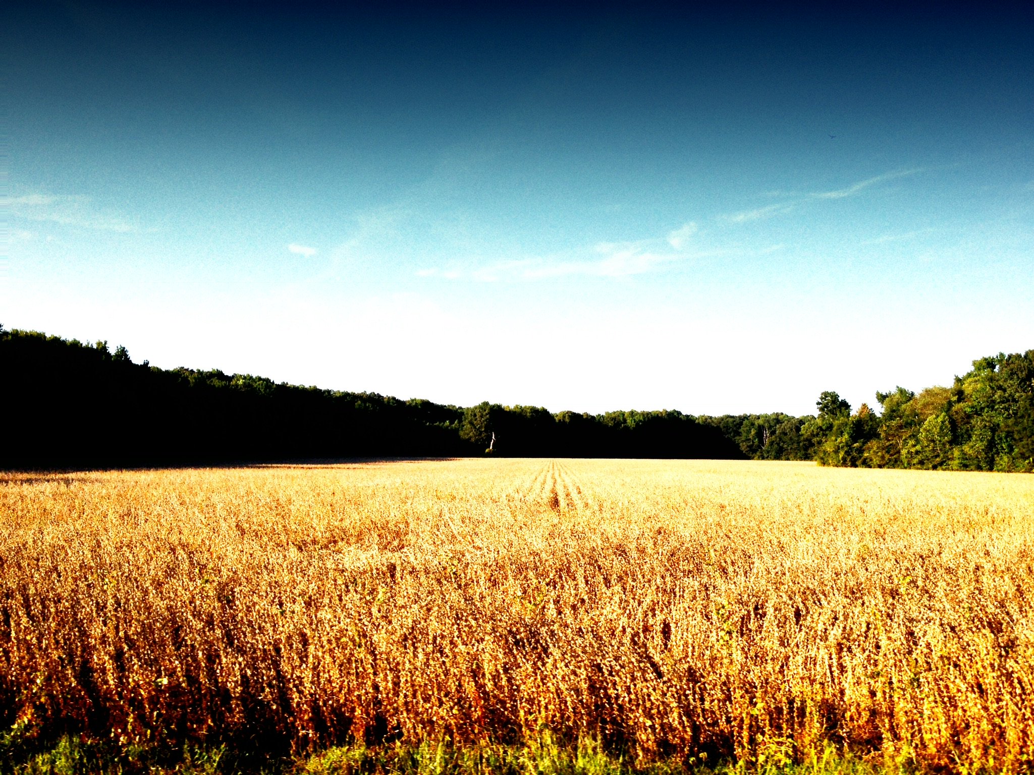 tapproot's profile banner image