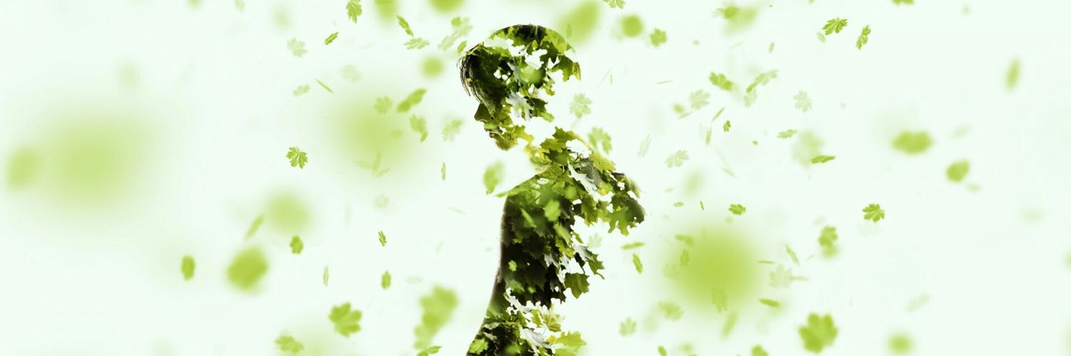 nharshav's profile banner image