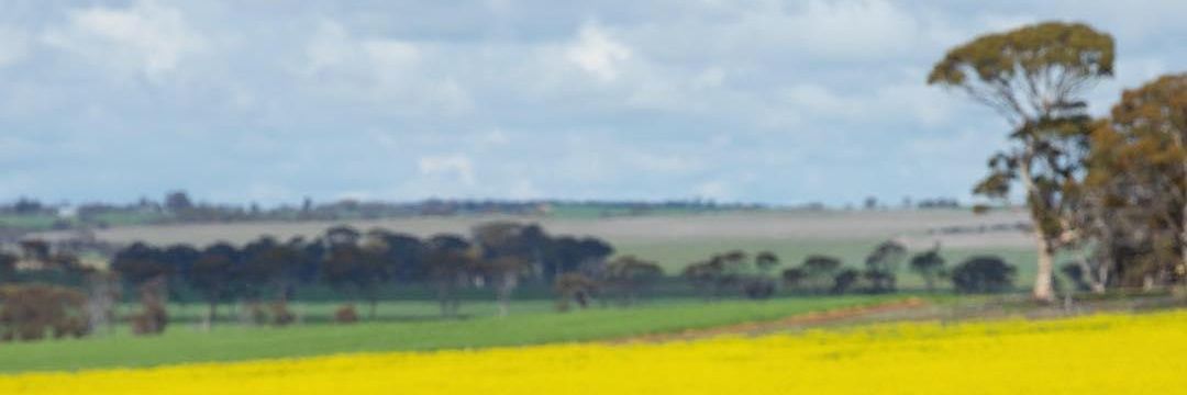 3bdalah3's profile banner image