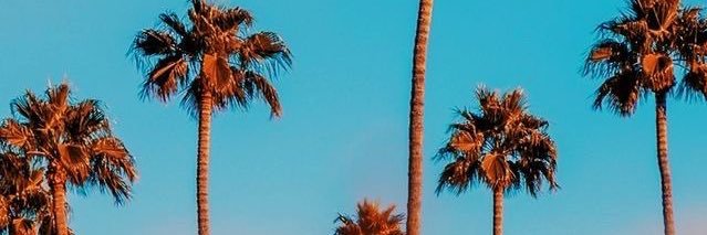 Miluraed's profile banner image