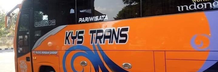 SkibidiMaxxing banner