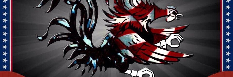 Gamecock Bobby banner