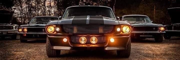 greyhd7460's profile banner image