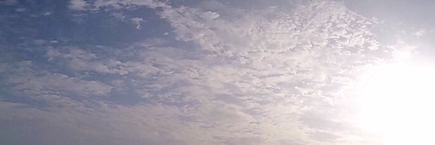 RenatoFlores_'s profile banner image