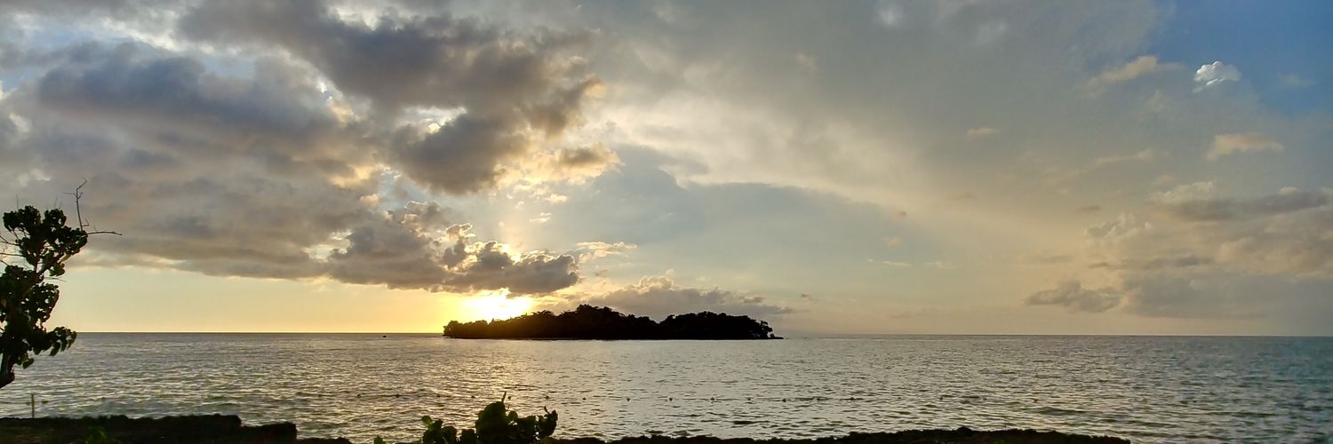 HowardAStewart's profile banner image
