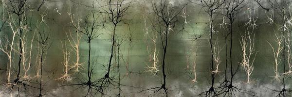 RChakraba Profile Banner