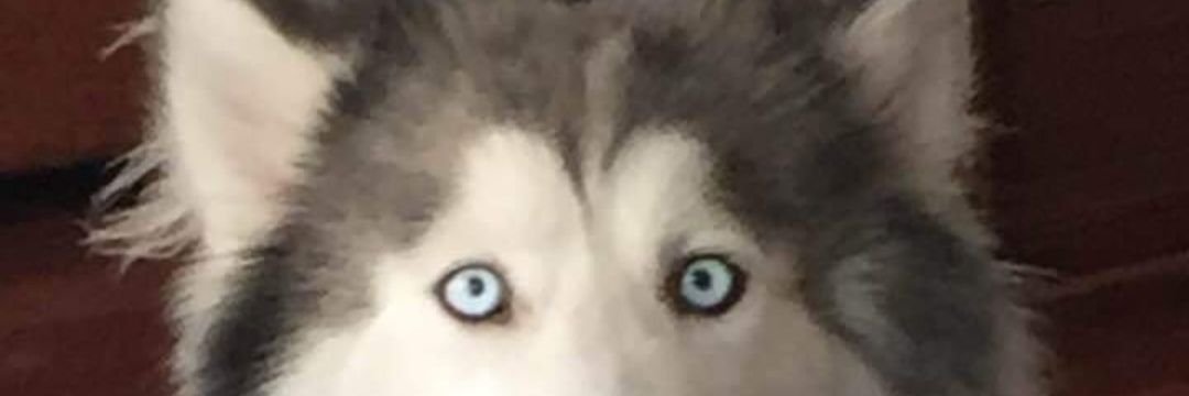 MiguelM_BQ's profile banner image