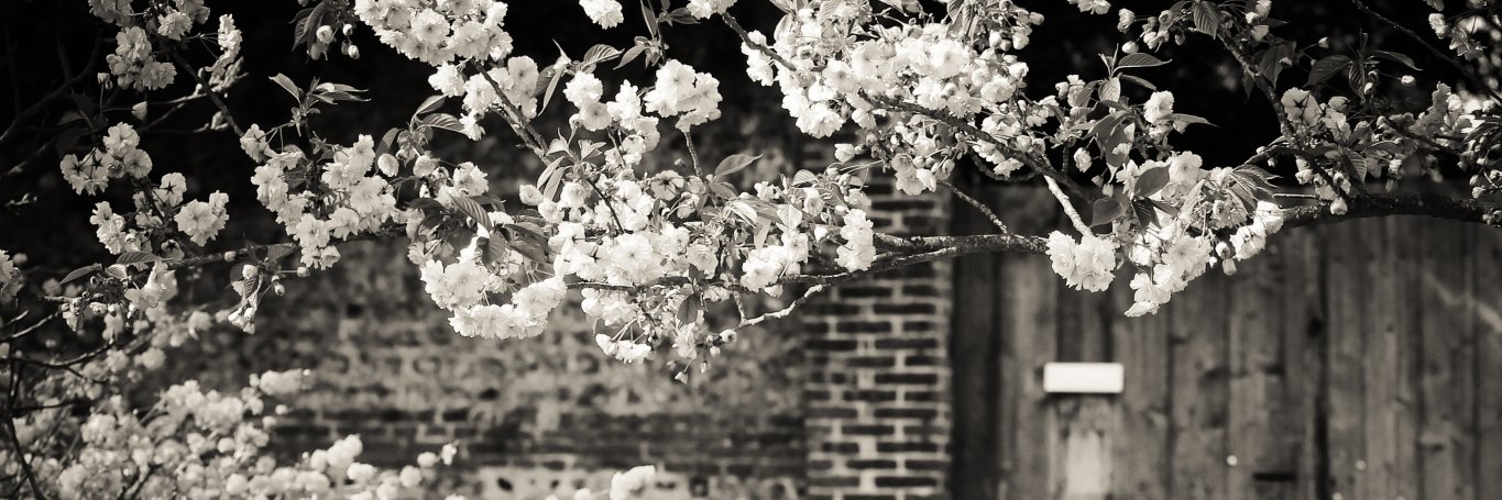 justinebrisson's profile banner image