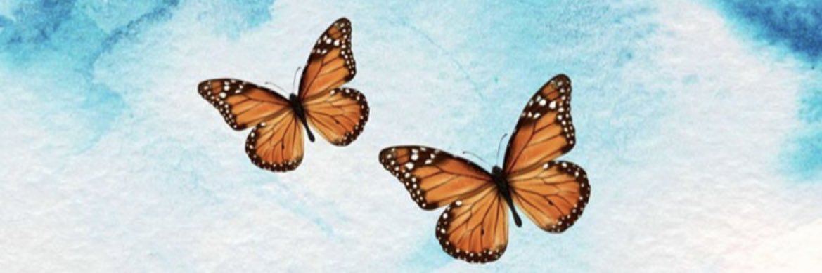torigriffith8's profile banner image