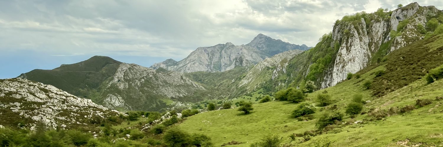pacokalata's profile banner image