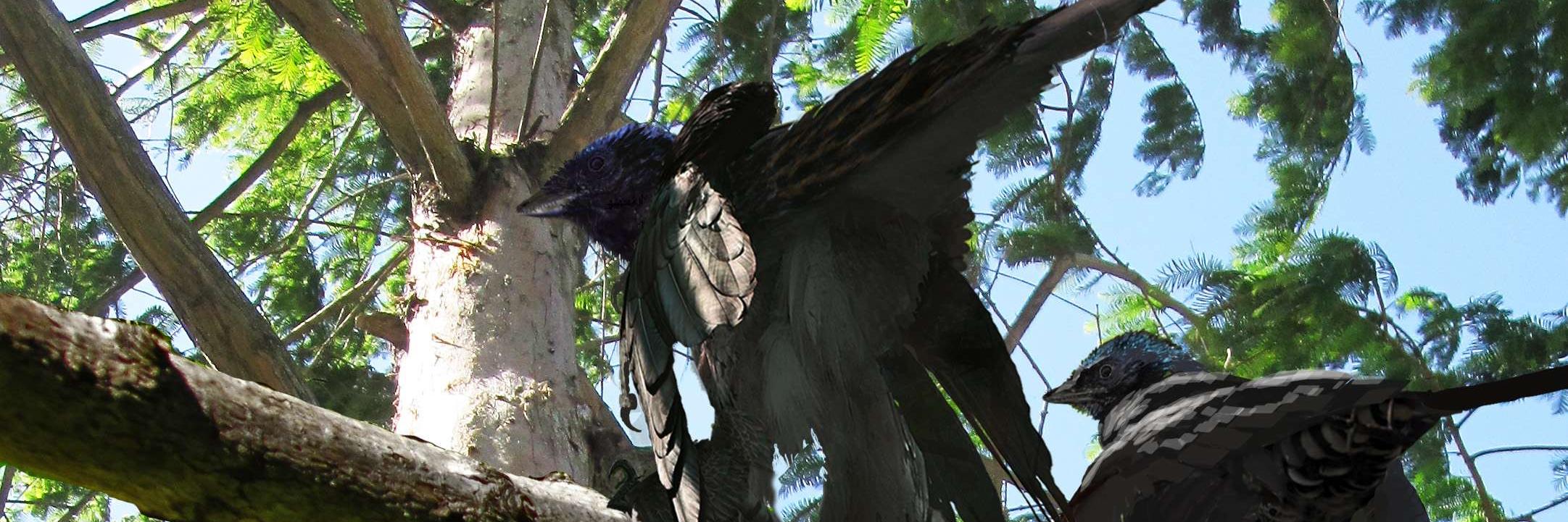TheMicroRaptor's profile banner image