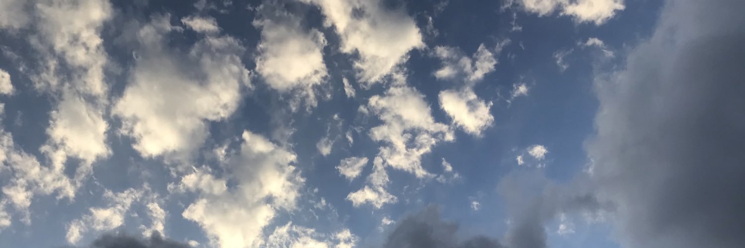 alexiallope's profile banner image