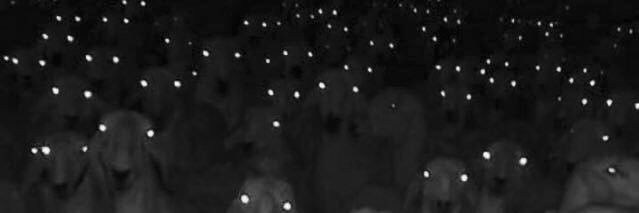 sukachu's profile banner image