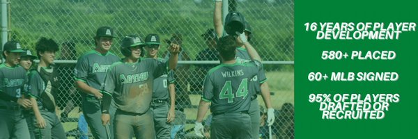 ActionBaseball Profile Banner