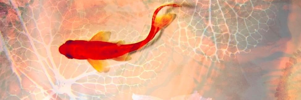 katiewardwriter's profile banner image