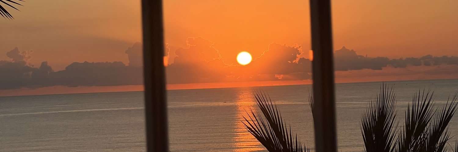 M I R E I A. banner