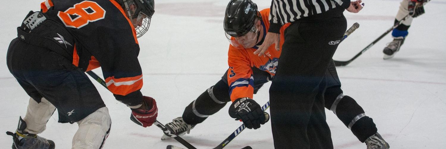 AHA Hockey banner