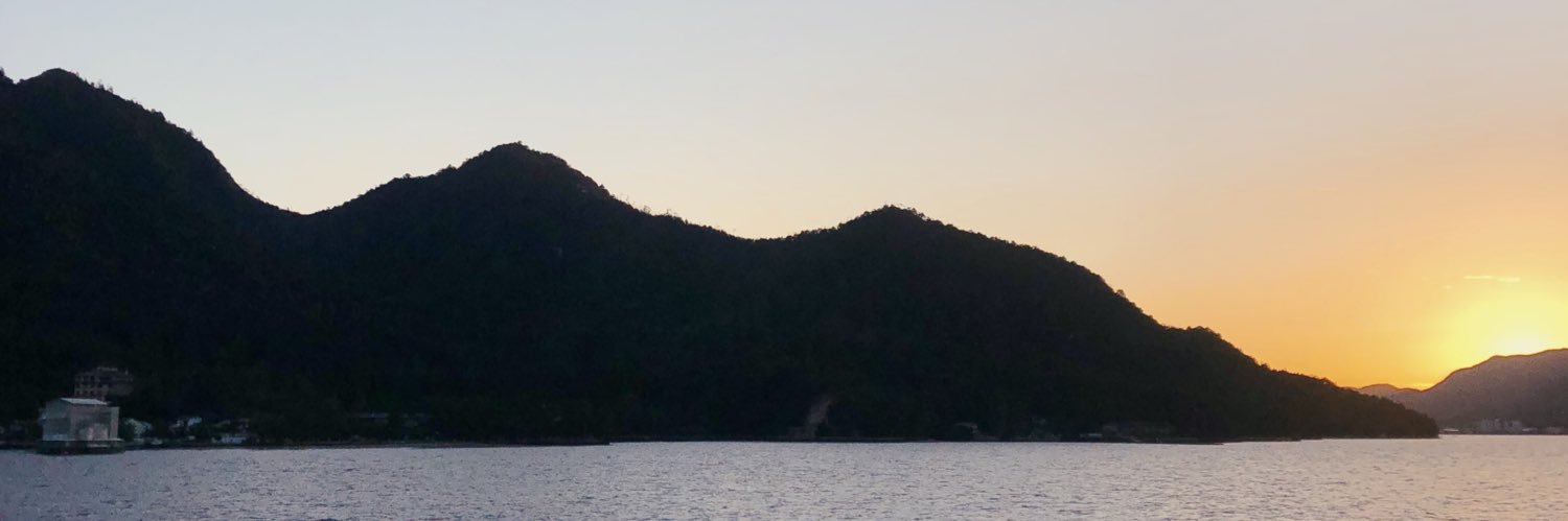 sophannetaylor's profile banner image