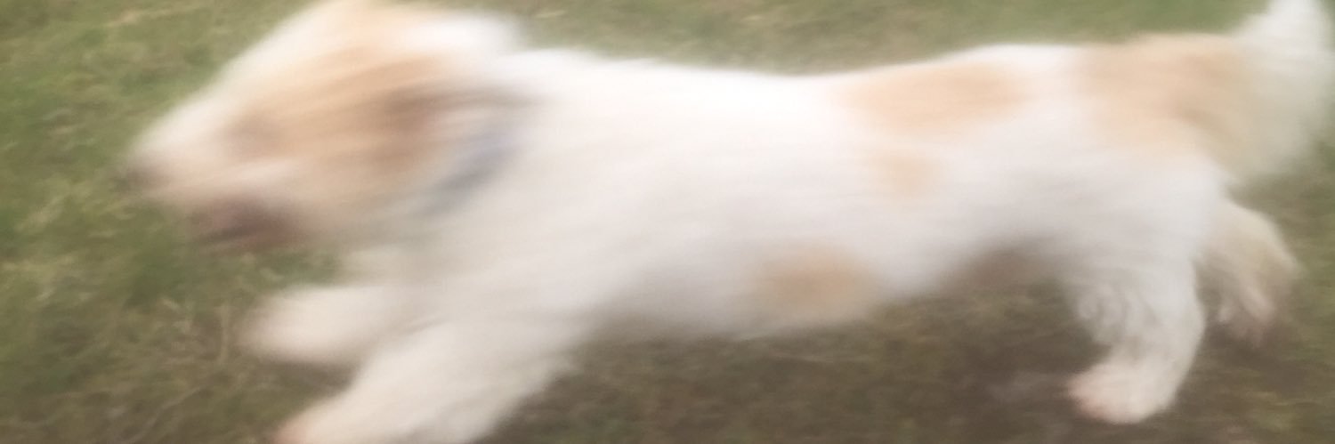 marley_bone's profile banner image