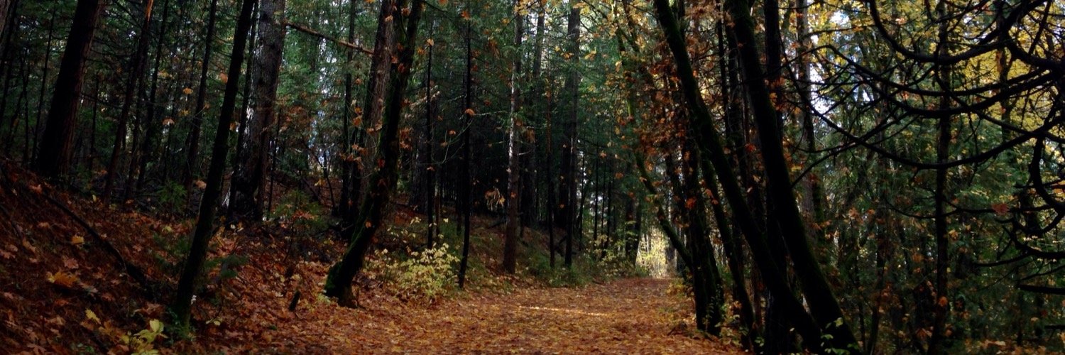 stop_using_chatgpt banner