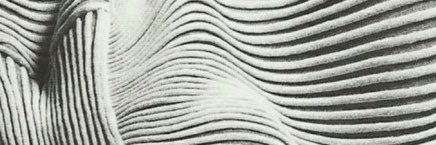 JulieDhoore's profile banner image