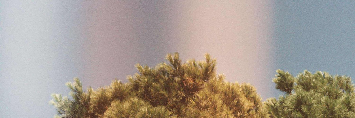 weadz's profile banner image