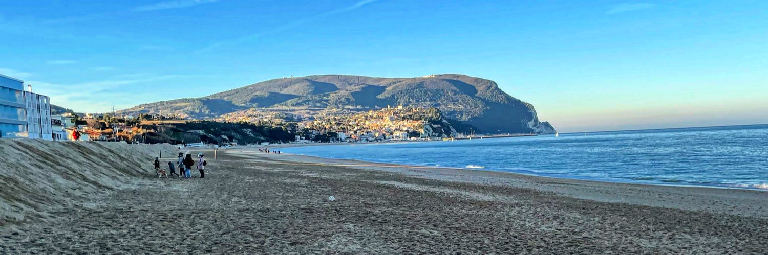 MMengascini's profile banner image