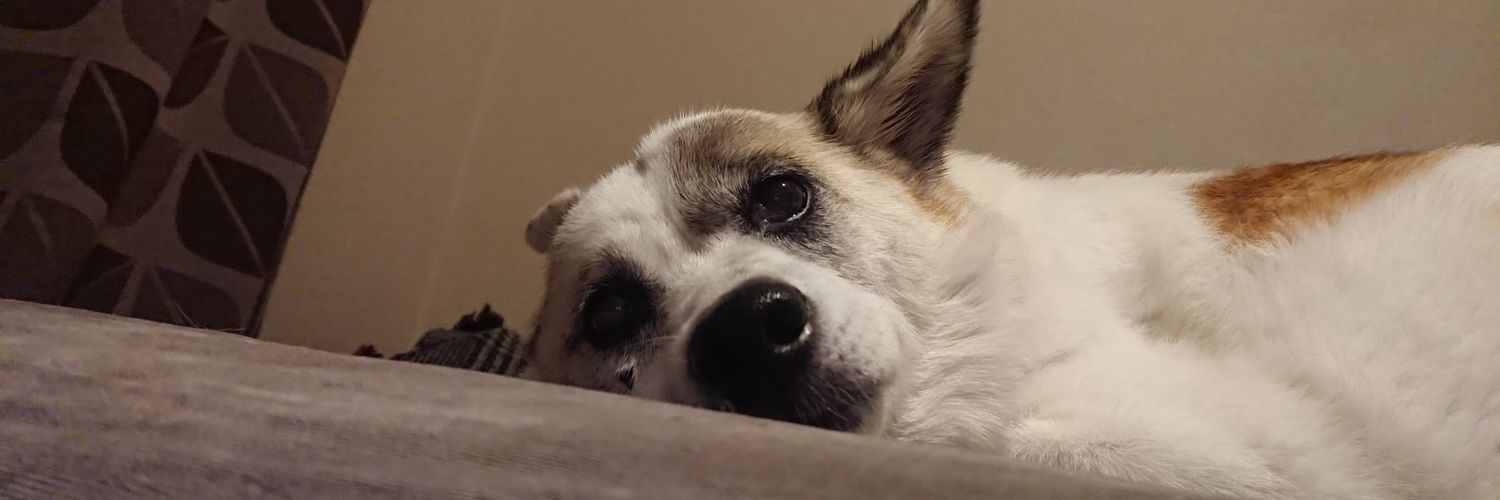 makonipper's profile banner image