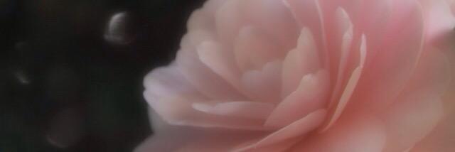 taiko_0625's profile banner image