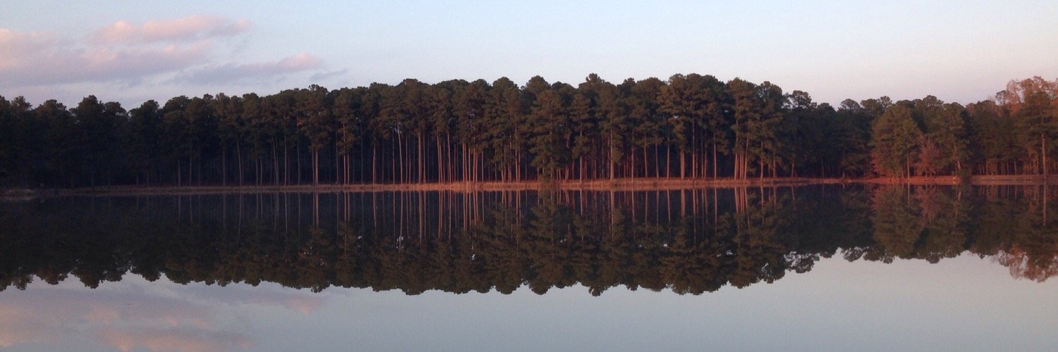 stuartreese's profile banner image