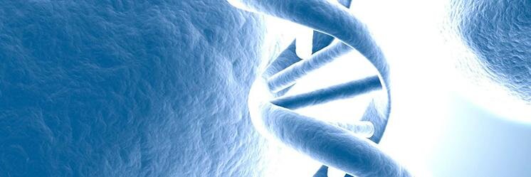 Biosummit's profile banner image