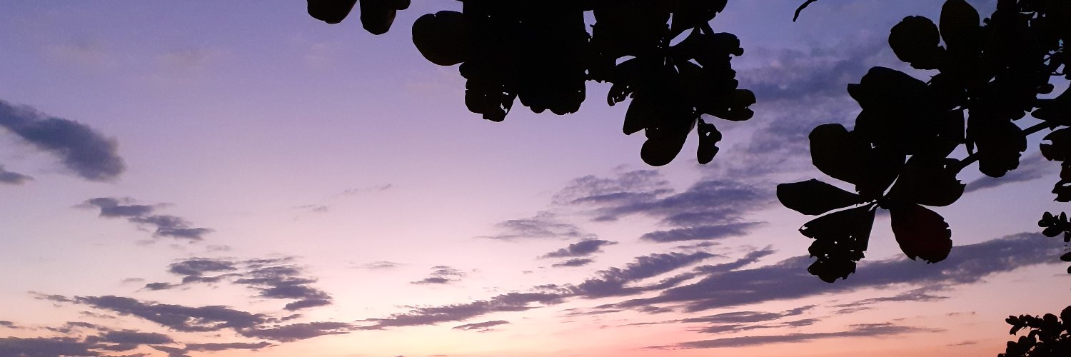 natysc's profile banner image