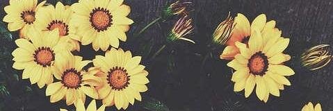 WeendyStephanny's profile banner image