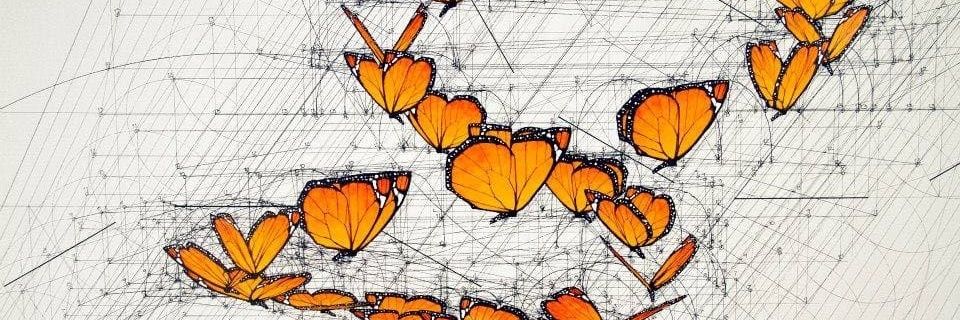 lizibethC's profile banner image