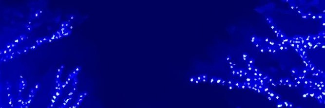 ルイボスティー banner
