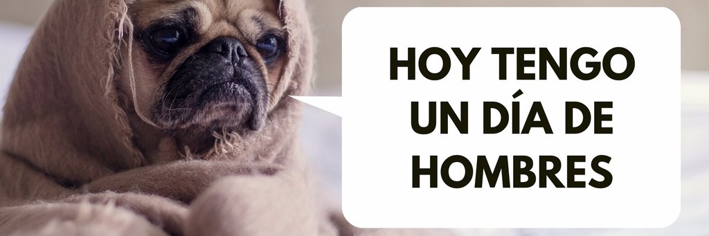 noelia_ca's profile banner image