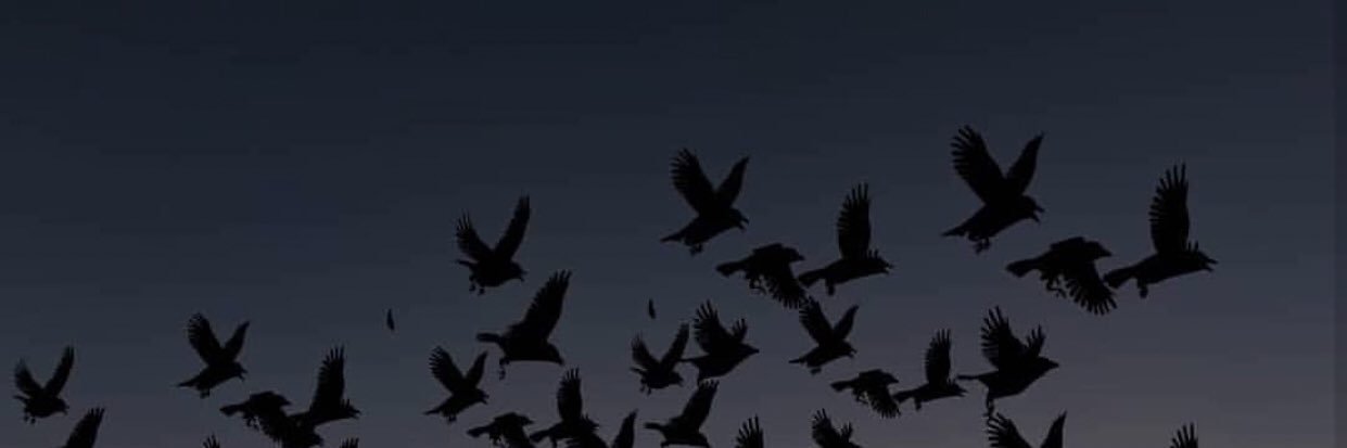 se_r22's profile banner image