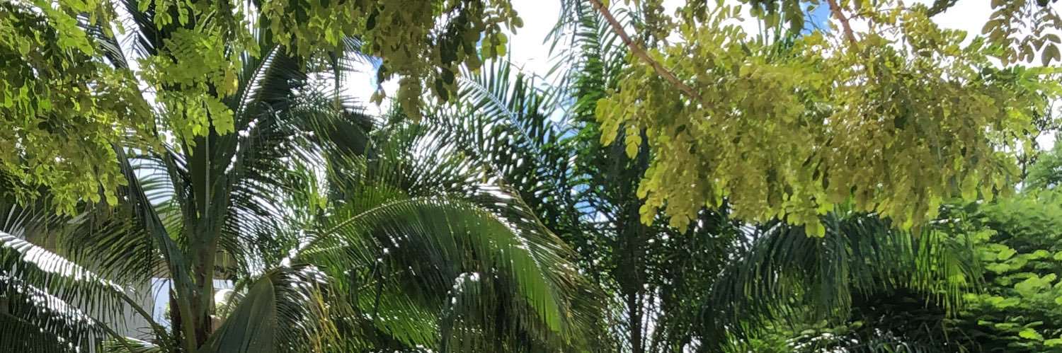 charroRR1_'s profile banner image