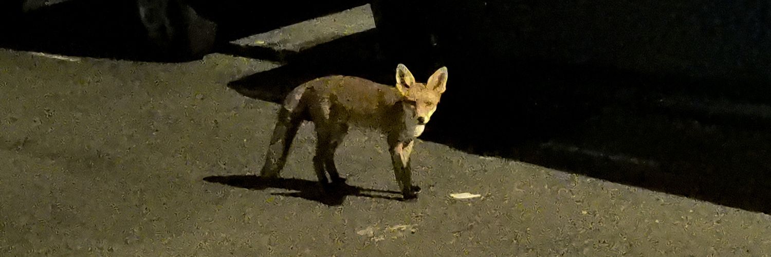 StandWith🇵🇸 banner