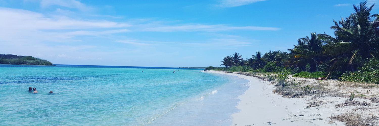 elbush's profile banner image
