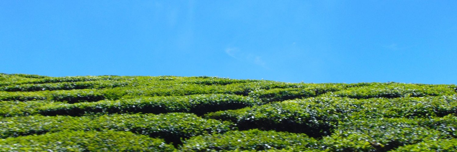 leandroandro's profile banner image
